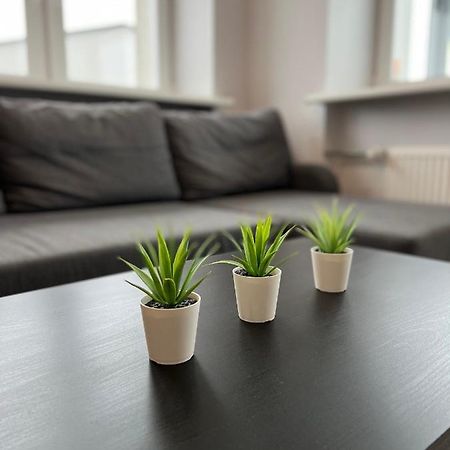 Akmene Center Apartment Naujoji Akmene 외부 사진